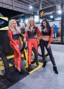 promo girls for hire at Brands Hatch