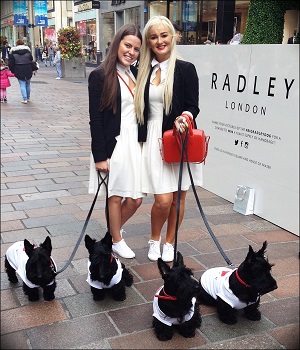 events staff swindon shopping centre